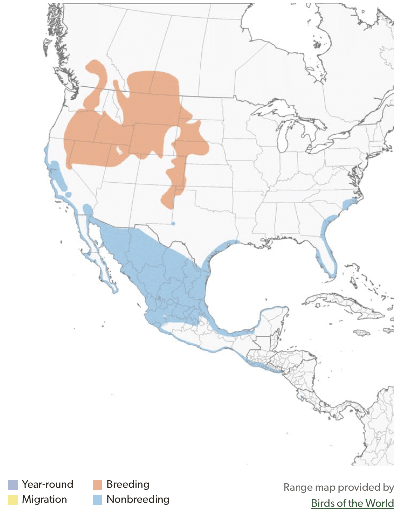 long-billed curlew range map